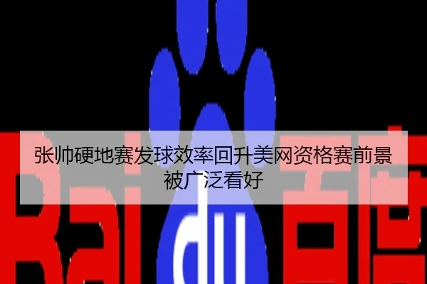 张帅硬地赛发球效率回升美网资格赛前景被广泛看好