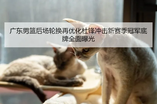 广东男篮后场轮换再优化杜锋冲击新赛季冠军底牌全面曝光