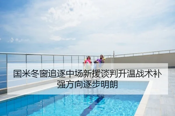 国米冬窗追逐中场新援谈判升温战术补强方向逐步明朗